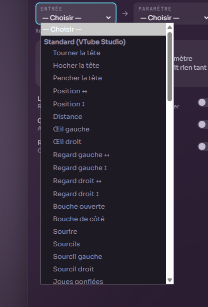 Liste déroulante native de Windows, grise et sans style